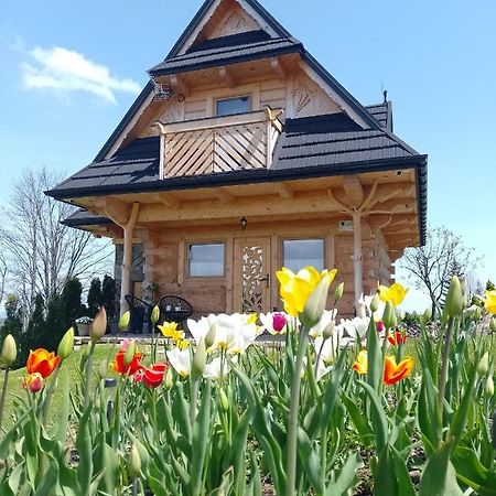Domek Na Goralska Mode Suche Εξωτερικό φωτογραφία