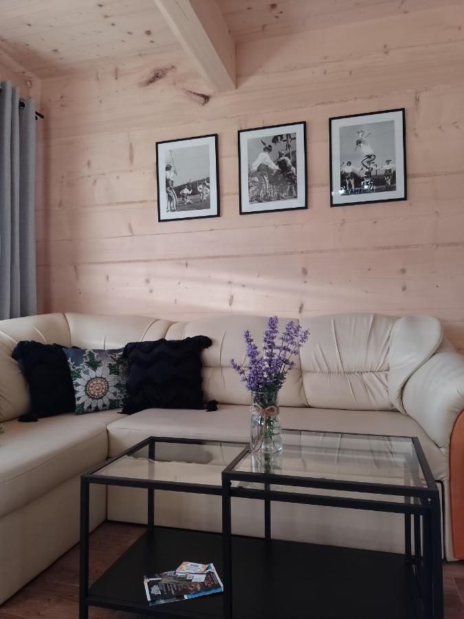 Domek Na Goralska Mode Suche Εξωτερικό φωτογραφία